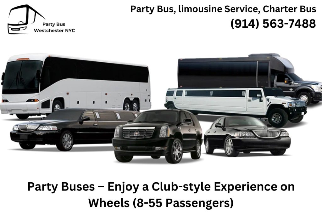Party Buses – Enjoy a Club-style Experience on Wheels (8-55 Passengers)