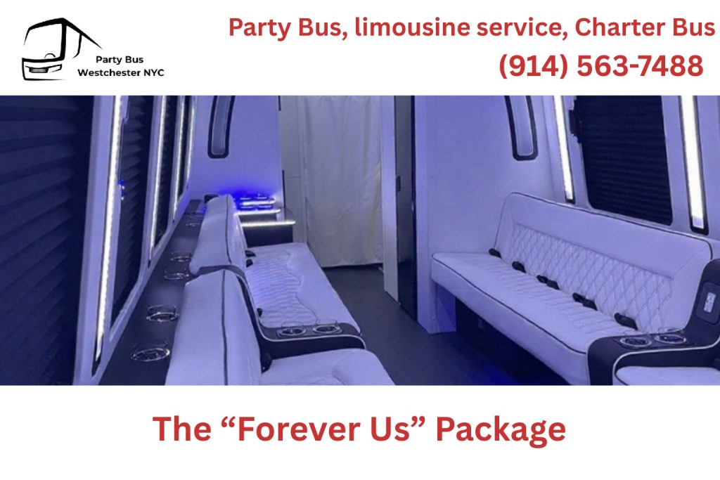 Friends celebrating a group anniversary on a party bus