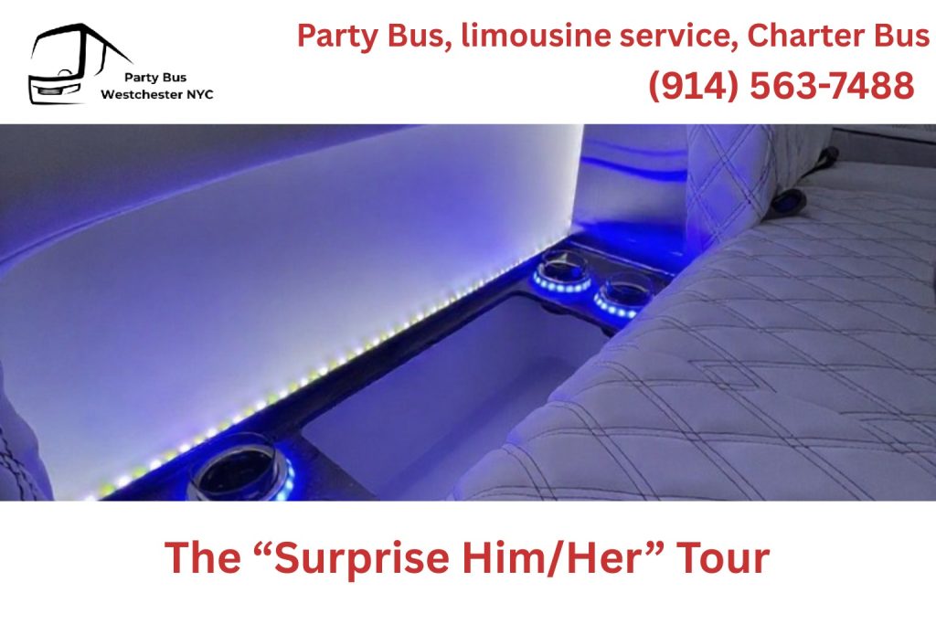 Party bus fleet including Sprinter van, mini bus, and full-size bus