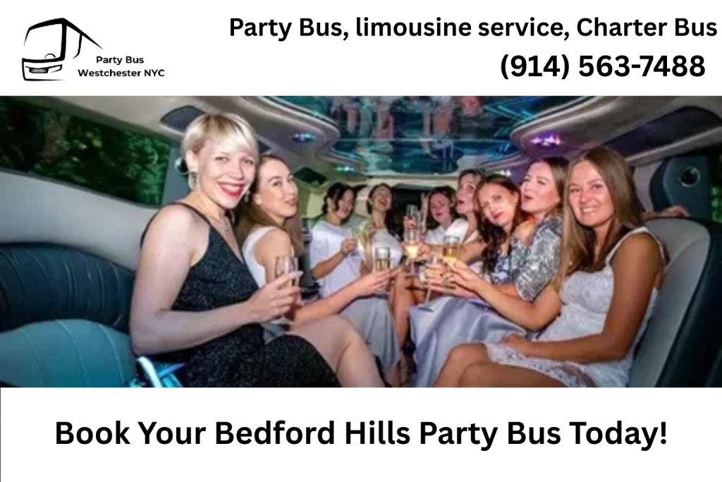 Group celebrating inside a Bedford Hills NY party bus with lights and music