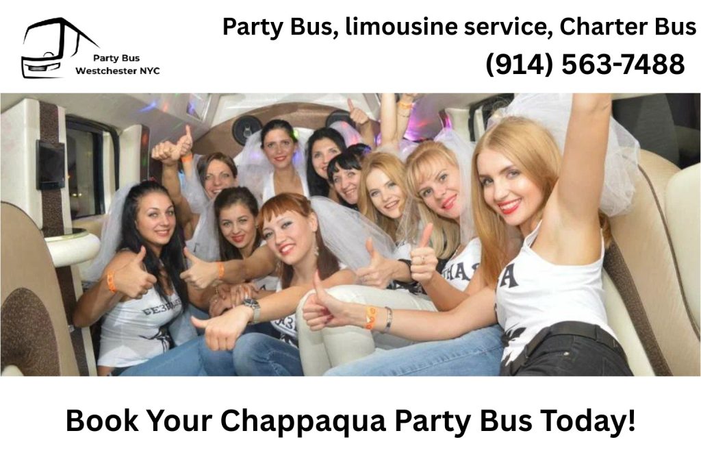 Group celebrating inside a Chappaqua NY party bus with LED lighting and music