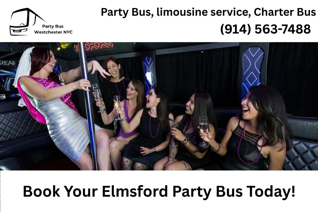 Group celebrating inside an Elmsford NY party bus with lights and music