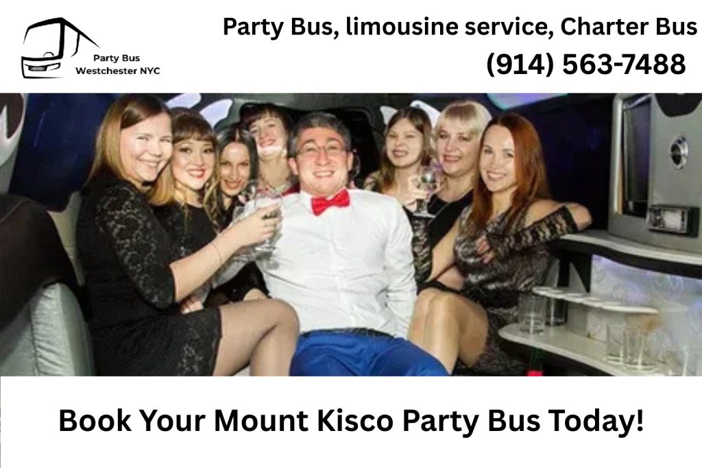 Group celebrating inside a Mount Kisco NY party bus with LED lights and music