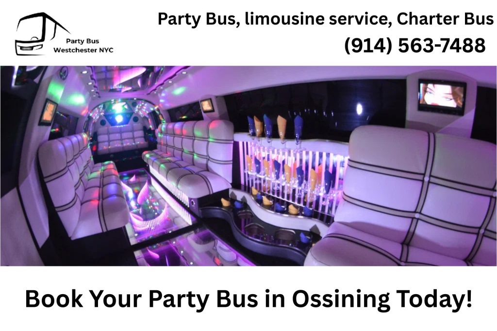 Friends celebrating inside an Ossining NY party bus with lights and music