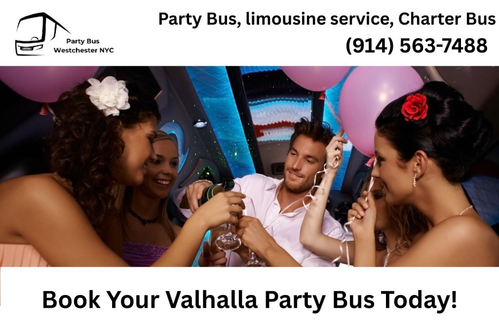 Group of friends celebrating inside a Valhalla NY party bus at night