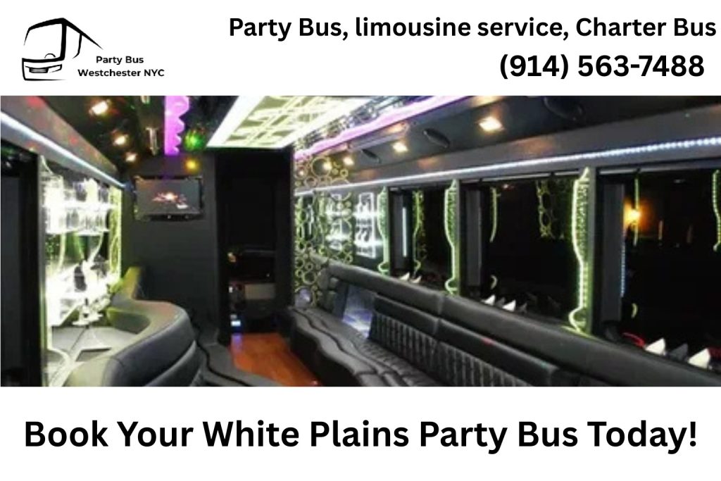 Group celebrating inside a White Plains NY party bus ready to start their night