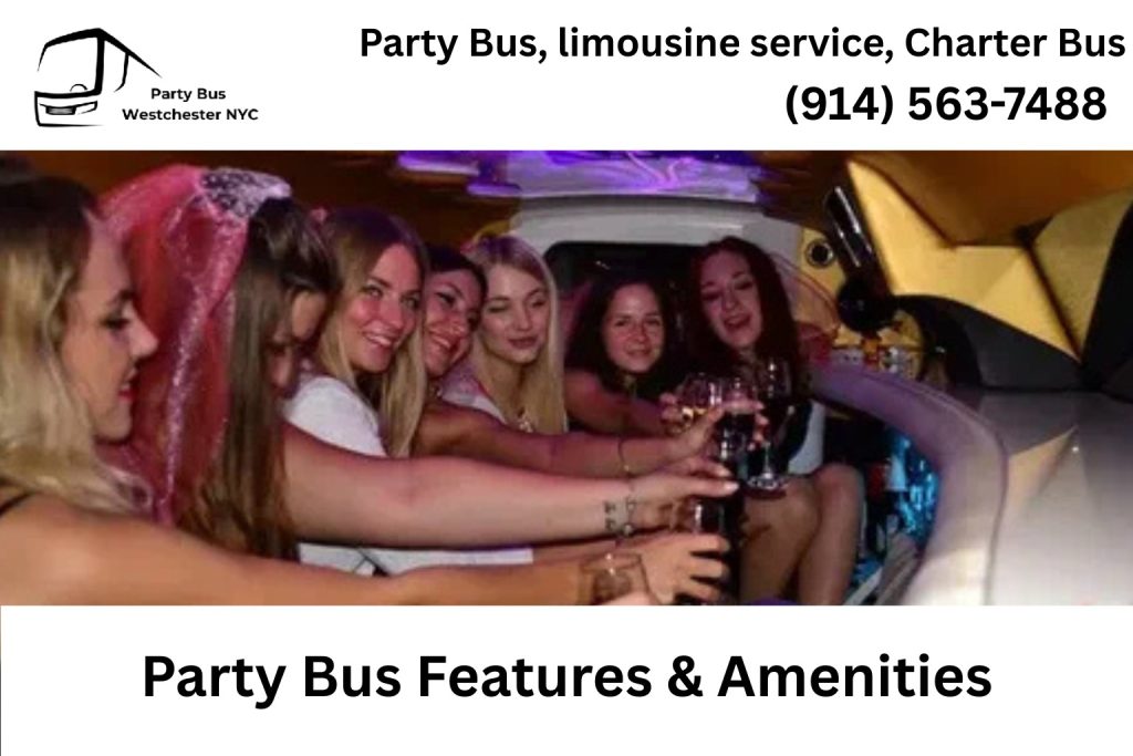 Interior of a Mount Kisco NY party bus with LED lights, sound system, and leather seating