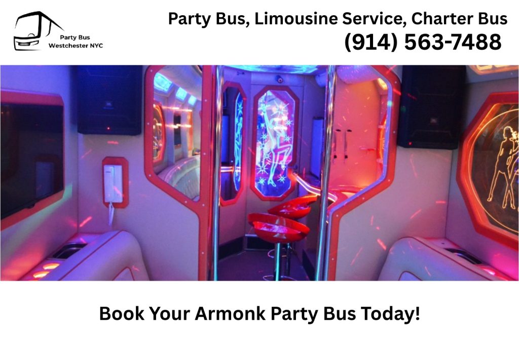 Group celebrating inside an Armonk NY party bus with LED lights and music