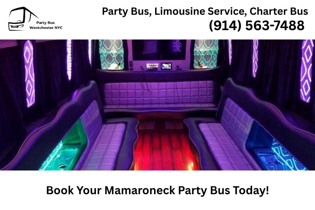 Friends celebrating inside a Mamaroneck NY party bus with music and LED lights