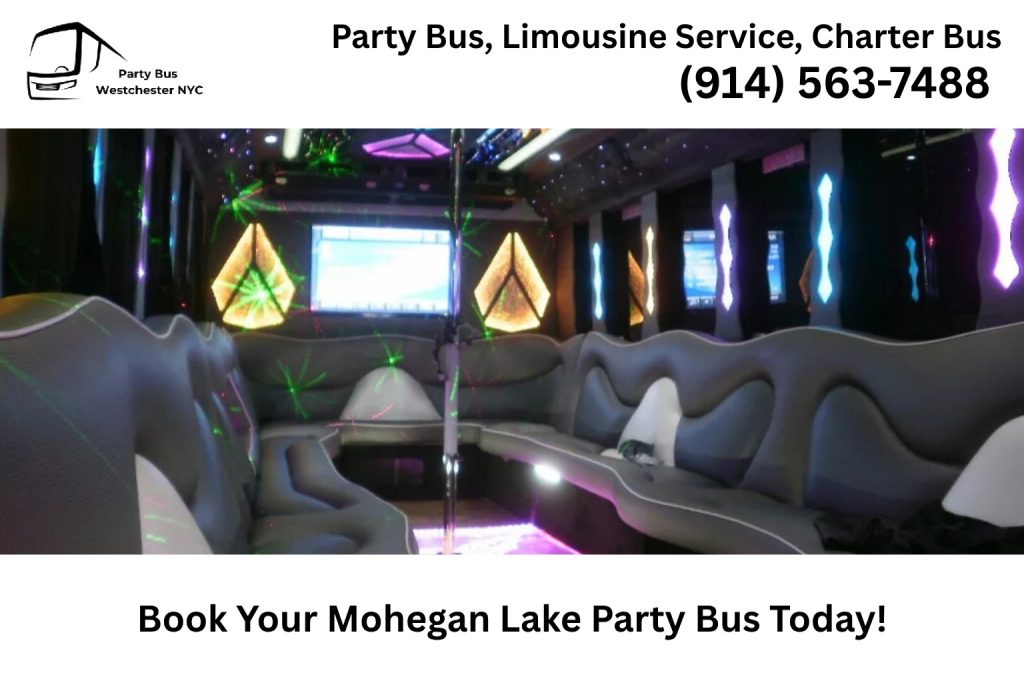 Group celebrating inside a Mohegan Lake NY party bus with LED lighting and music