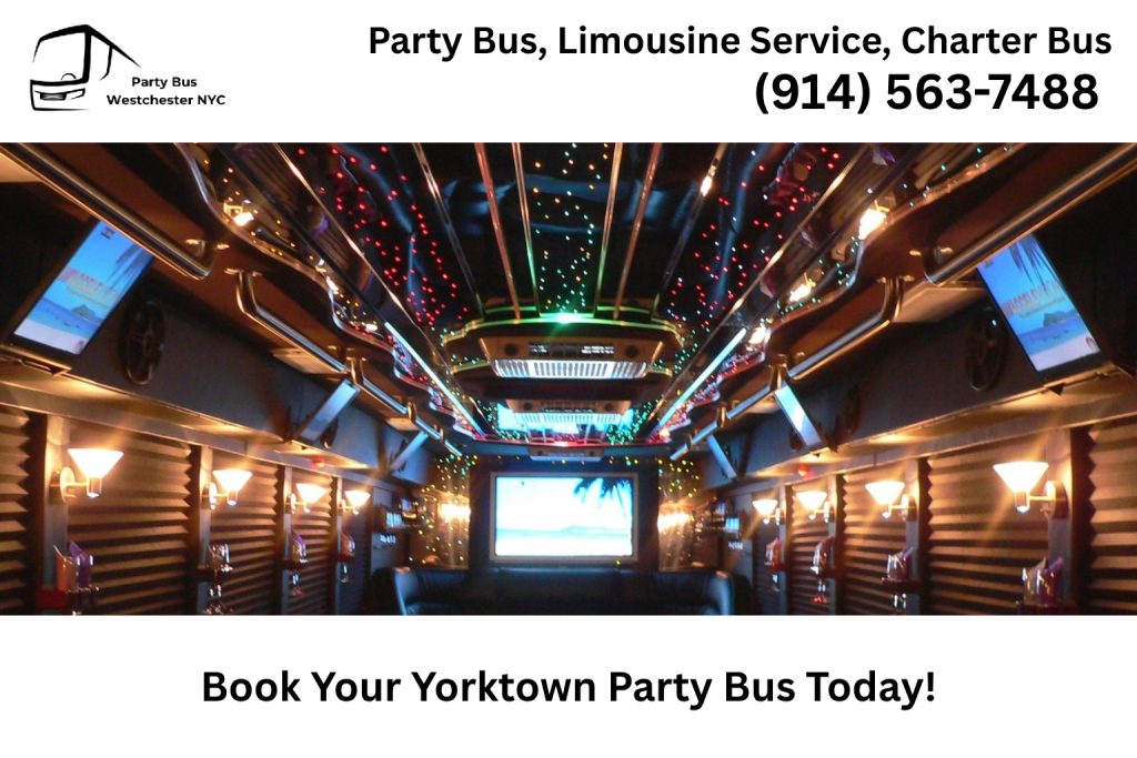Group celebrating inside a Yorktown NY party bus with LED lighting and music