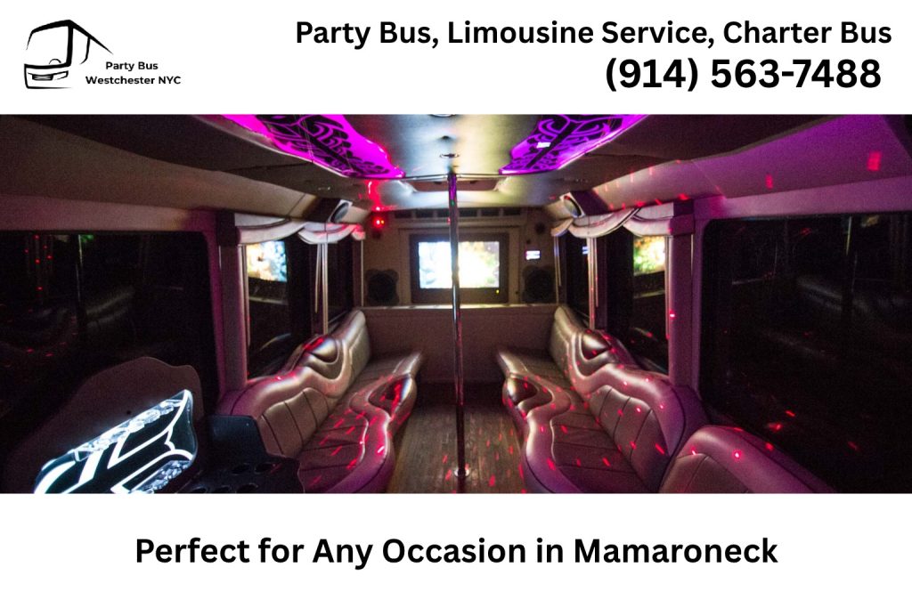 Party bus service in Mamaroneck NY for weddings, proms, birthdays, and parties