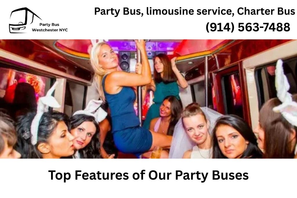 Interior of an Englewood NJ party bus with LED lighting and premium seating