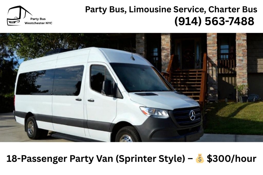 18 passenger sprinter birthday party van rental